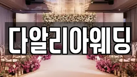 다알리아웨딩