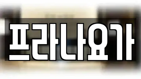 프라나요가