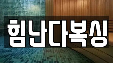 힘난다복싱