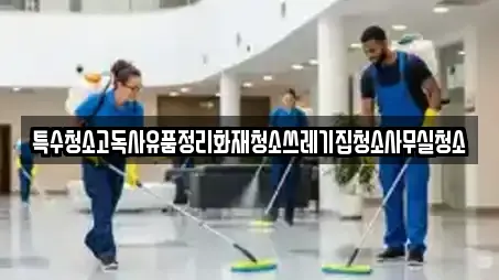 특수청소고독사유품정리화재청소쓰레기집청소사무실청소