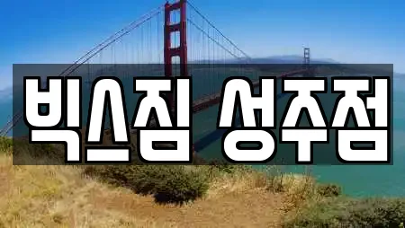 빅스짐 성주점