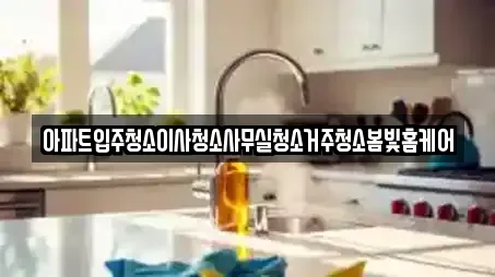 아파트입주청소이사청소사무실청소거주청소봄빛홈케어