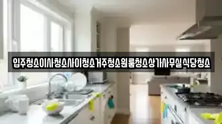 입주청소이사청소사이청소거주청소원룸청소상가사무실식당청소