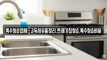특수청소업체-고독사유품정리,쓰레기집청소,특수청소비용