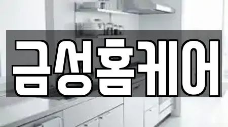 금성홈케어