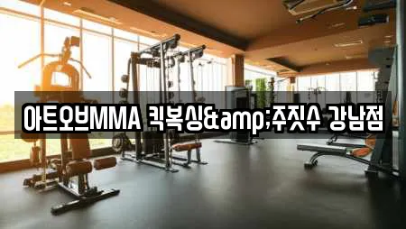 아트오브MMA 킥복싱&주짓수 강남점
