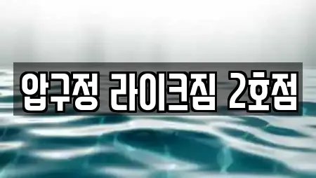 압구정 라이크짐 2호점