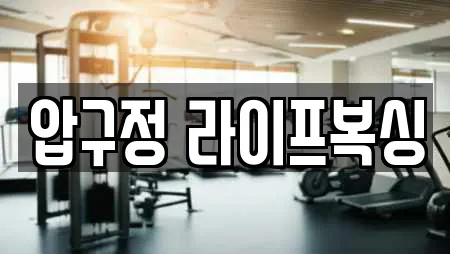압구정 라이프복싱