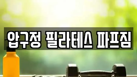 압구정 필라테스 파프짐