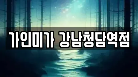 가인미가 강남청담역점