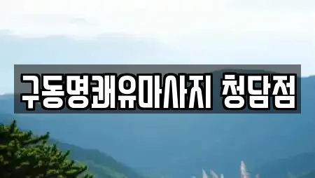 구동명쾌유마사지 청담점