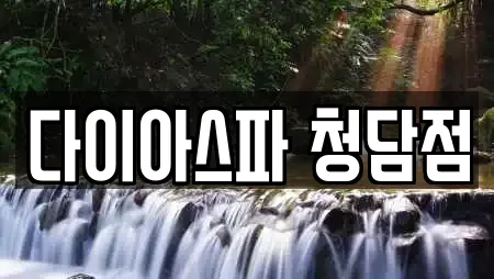다이아스파 청담점