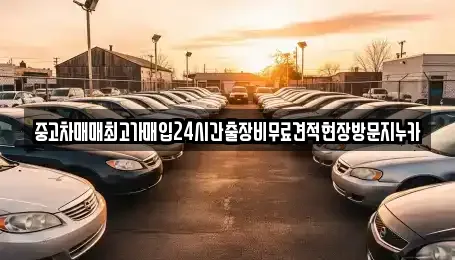 중고차매매최고가매입24시간출장비무료견적현장방문지누카