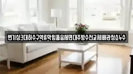 변기싱크대하수구역류막힘뚫음세면대주방수전교체배관청소누수