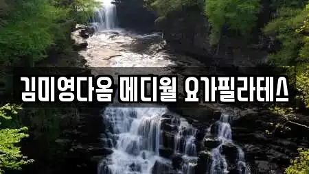 김미영다옴 메디월 요가필라테스