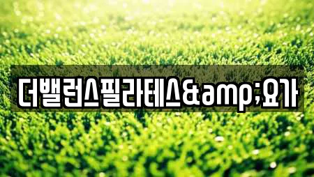 더밸런스필라테스&요가