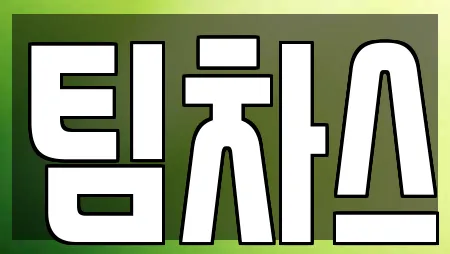 팀차스