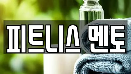 피트니스 멘토