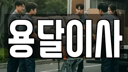 용달이사