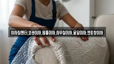 이삿짐보관 전문 세종 해밀동 안내 9업체