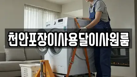 천안포장이사용달이사원룸
