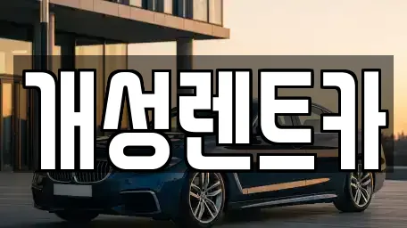 개성렌트카