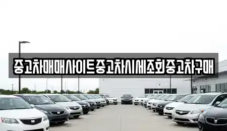 중고차매매사이트중고차시세조회중고차구매