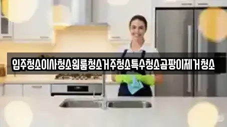 입주청소이사청소원룸청소거주청소특수청소곰팡이제거청소