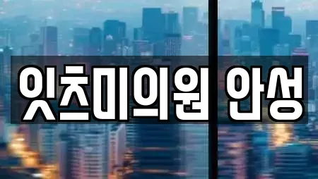 잇츠미의원 안성
