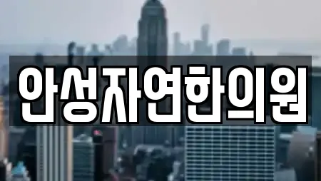 안성자연한의원