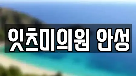 잇츠미의원 안성