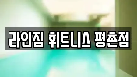 라인짐 휘트니스 평촌점