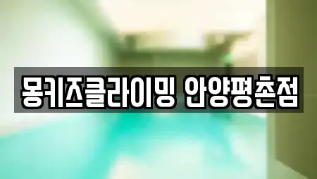 몽키즈클라이밍 안양평촌점