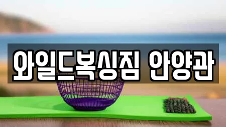 와일드복싱짐 안양관