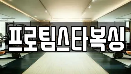 프로팀스타복싱