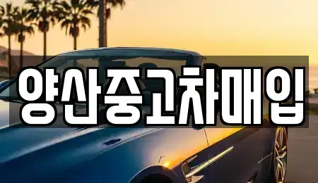 양산중고차매입