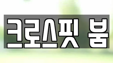 크로스핏 붐