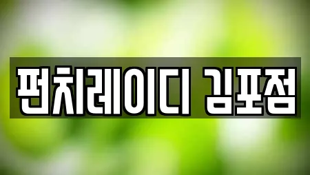 펀치레이디 김포점