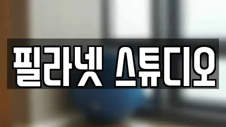 필라넷 스튜디오