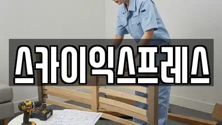 스카이익스프레스