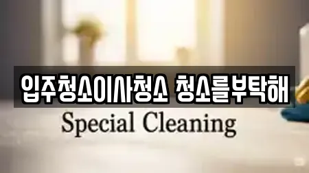 입주청소이사청소 청소를부탁해