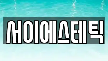 서이에스테틱
