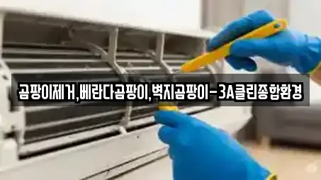곰팡이제거,베란다곰팡이,벽지곰팡이-3A클린종합환경