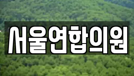 서울연합의원
