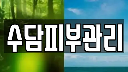 수담피부관리
