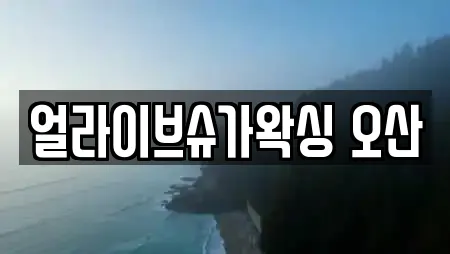 얼라이브슈가왁싱 오산