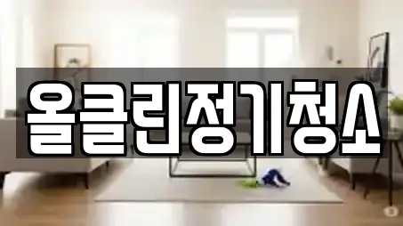 올클린정기청소