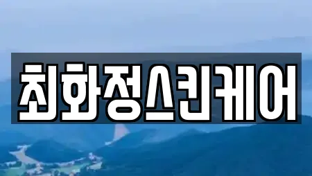 최화정스킨케어