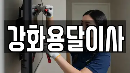 강화용달이사