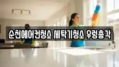장천동 청소 리뷰 많은 TOP 10 장천동 청소 리뷰 많은 TOP 10
